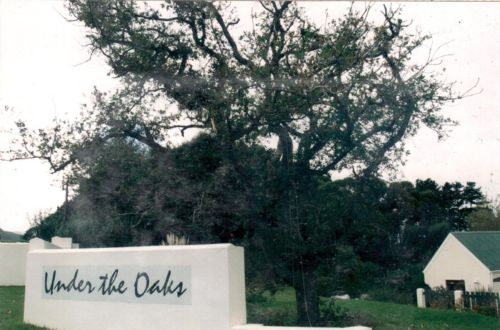 Under the Oaks_01a_s